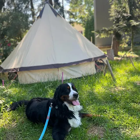 Tipi